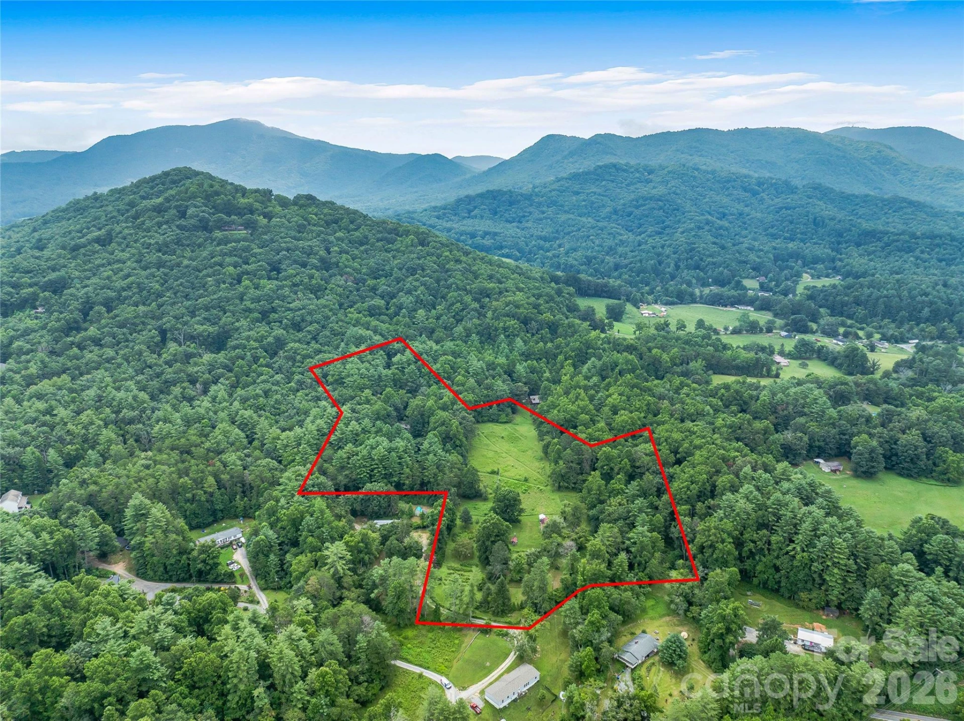 117 Woods View Trail - Photo 3