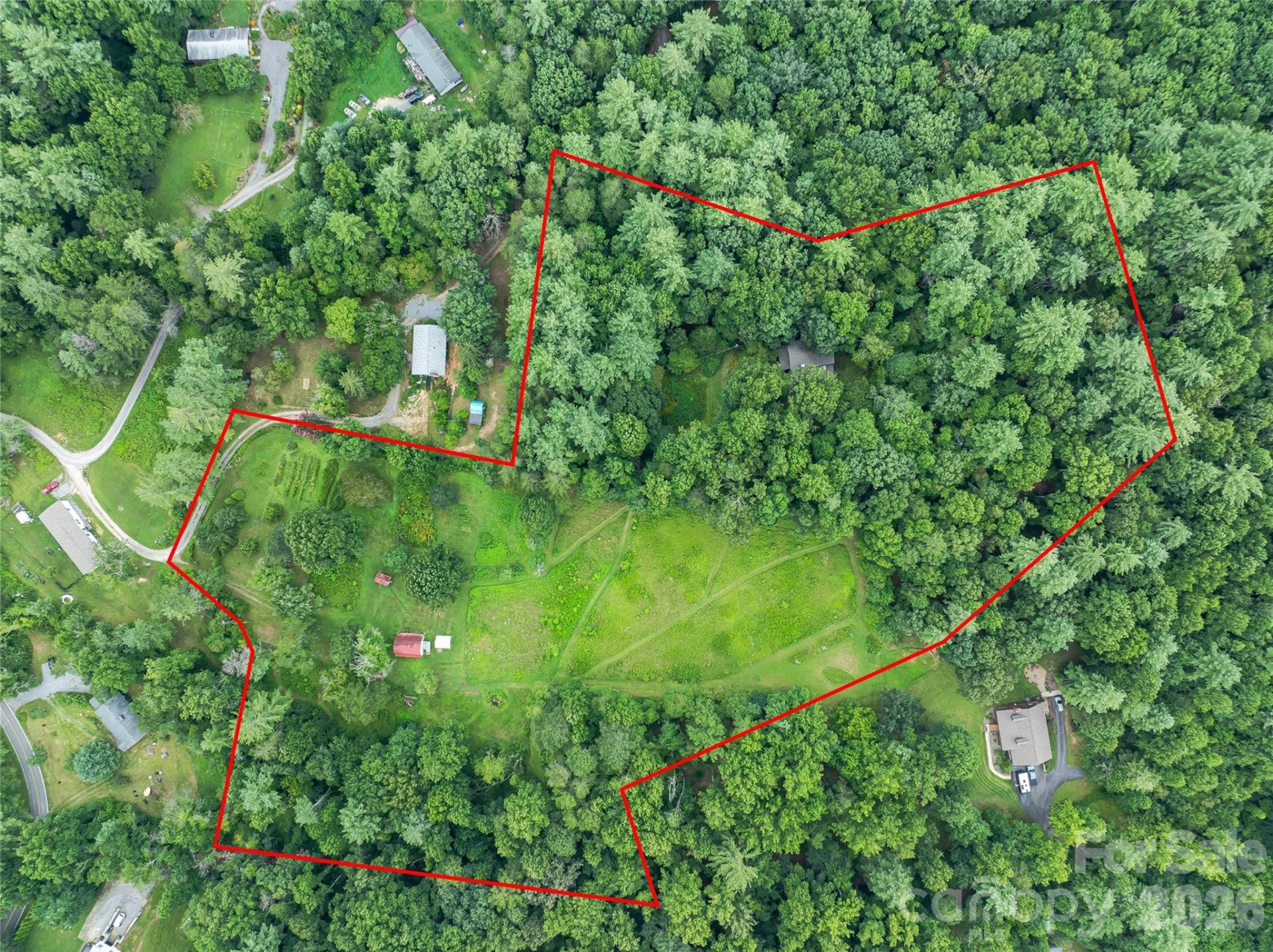 117 Woods View Trail - Photo 4