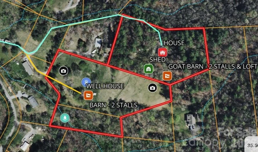 117 Woods View Trail - Photo 5