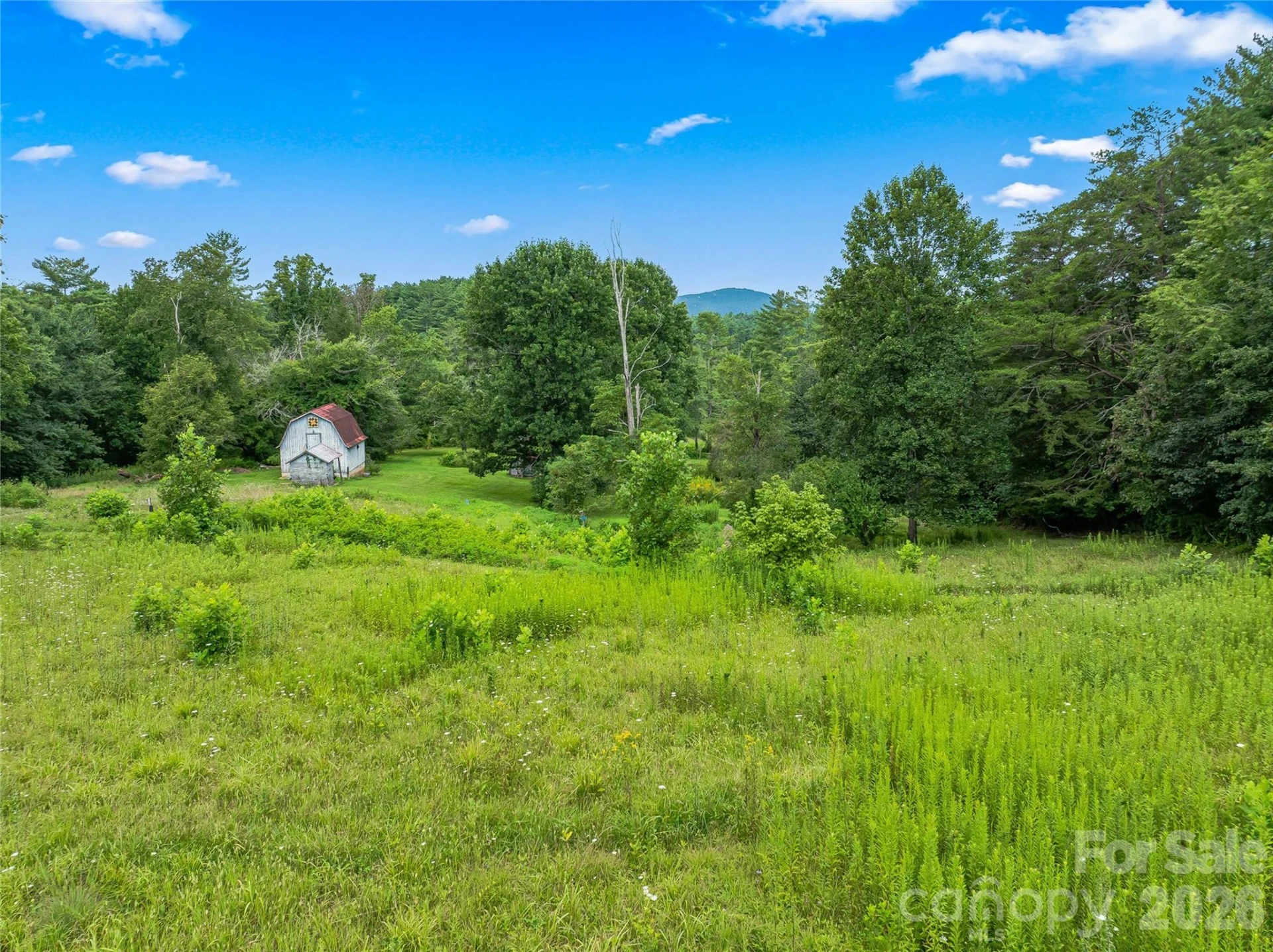 117 Woods View Trail - Photo 6