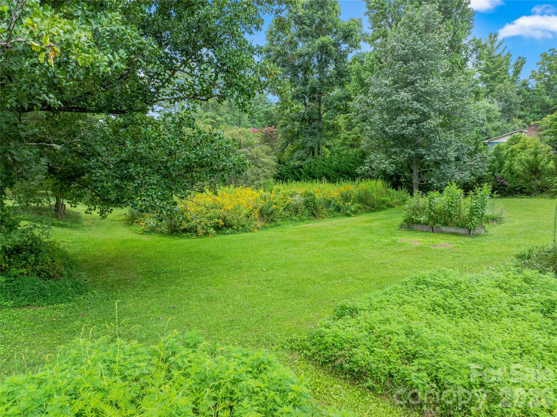 117 Woods View Trail - Photo 8