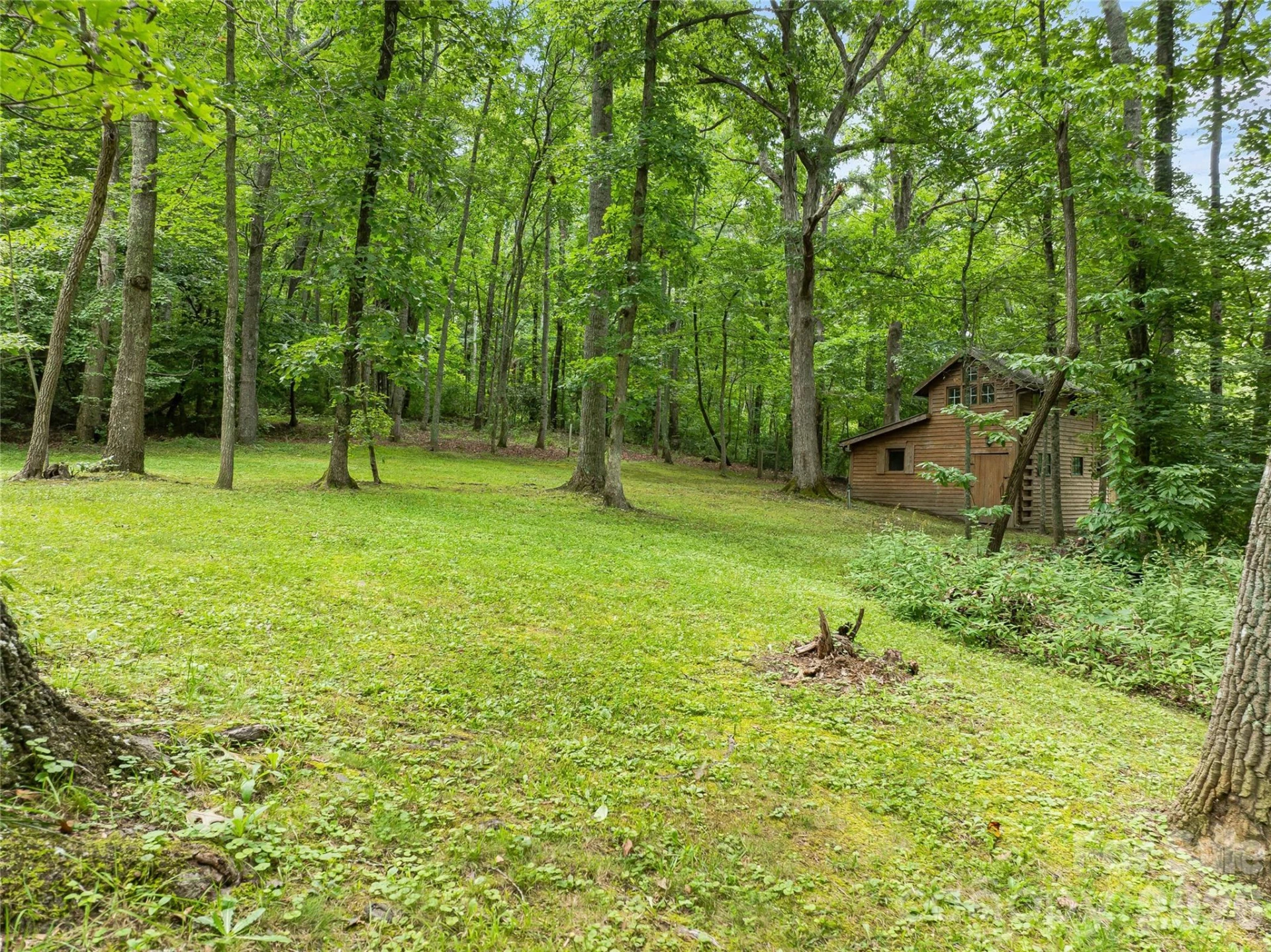 117 Woods View Trail - Photo 29