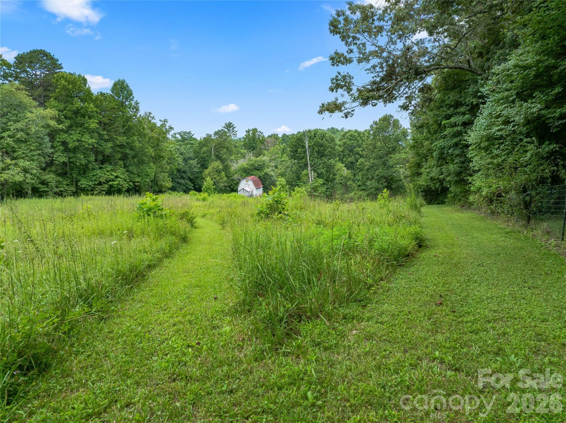 117 Woods View Trail - Photo 32