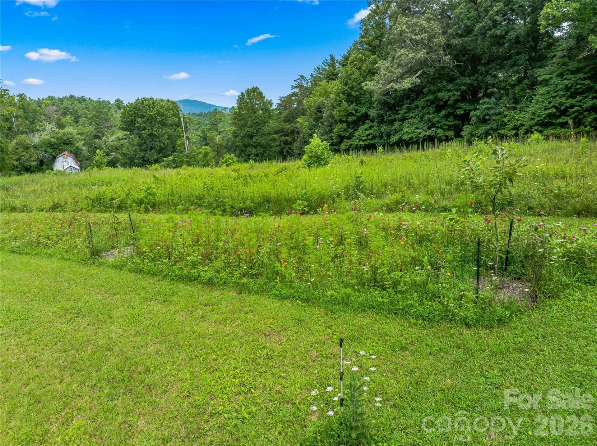 117 Woods View Trail - Photo 33