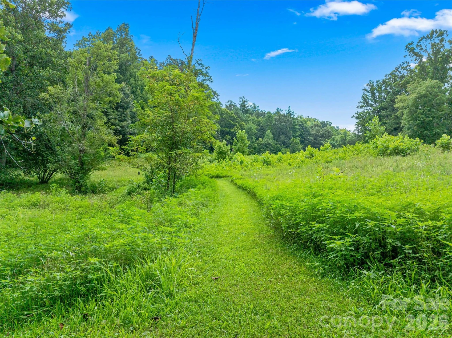 117 Woods View Trail - Photo 37