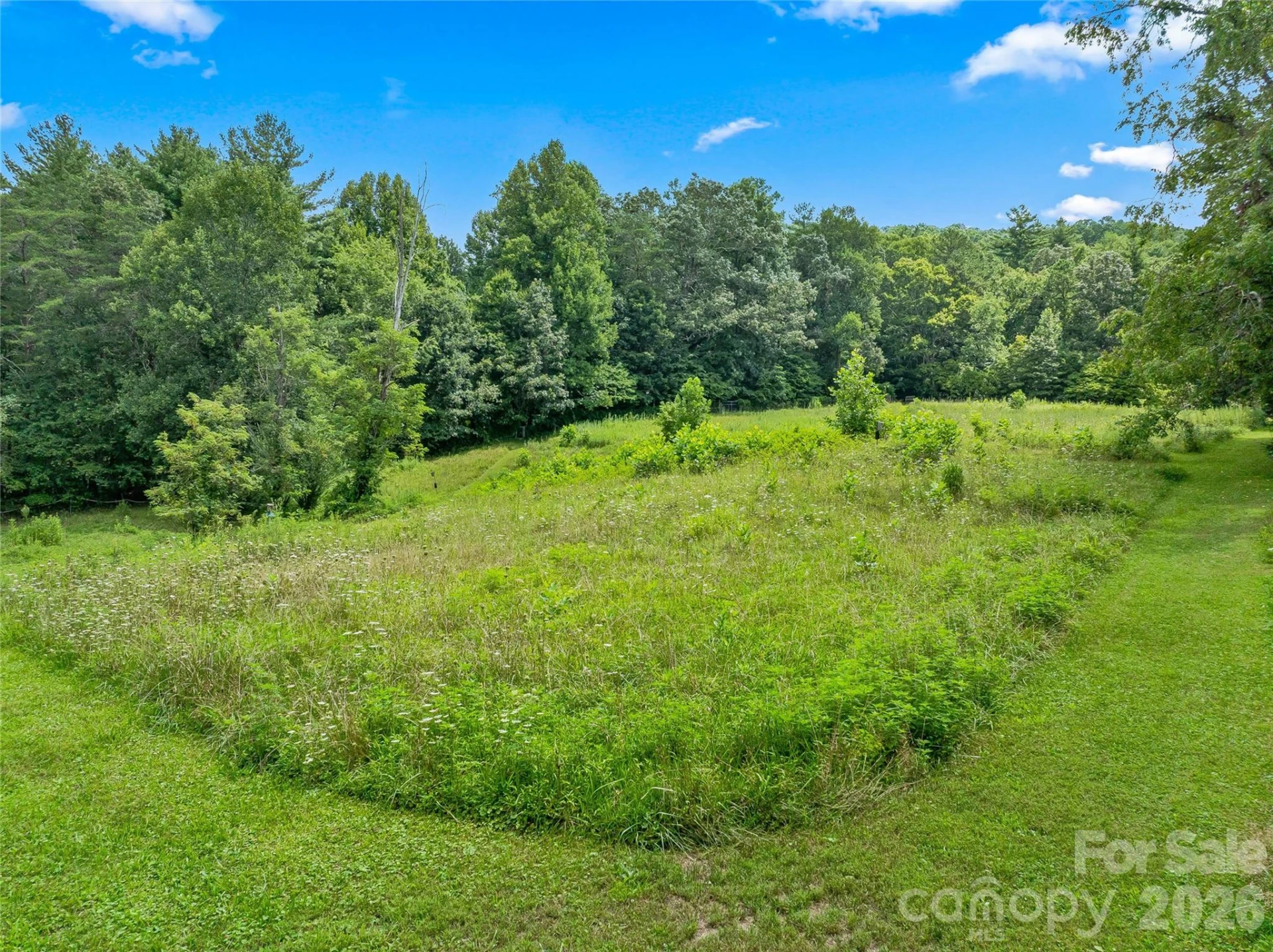 117 Woods View Trail - Photo 39