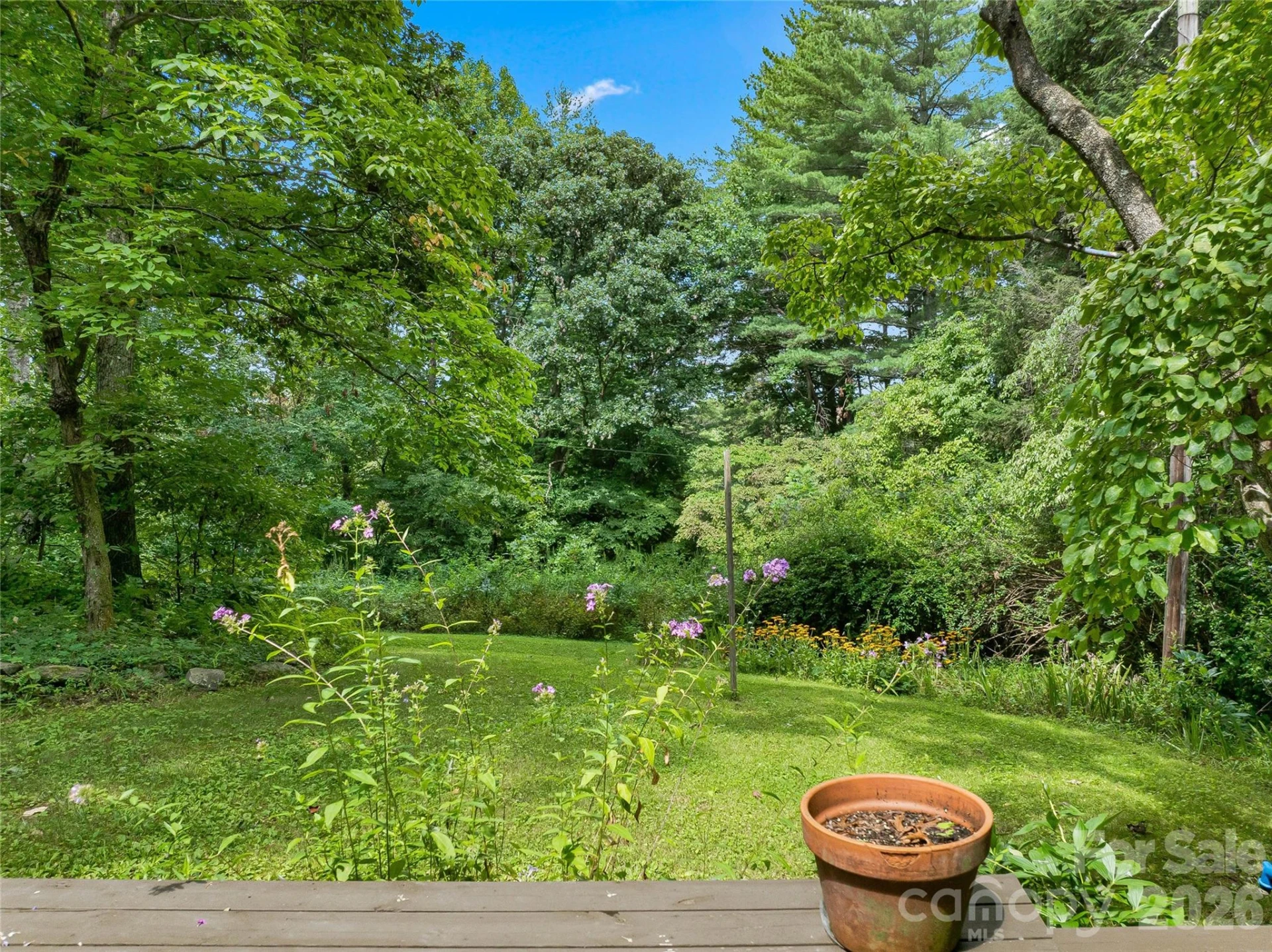 117 Woods View Trail - Photo 43