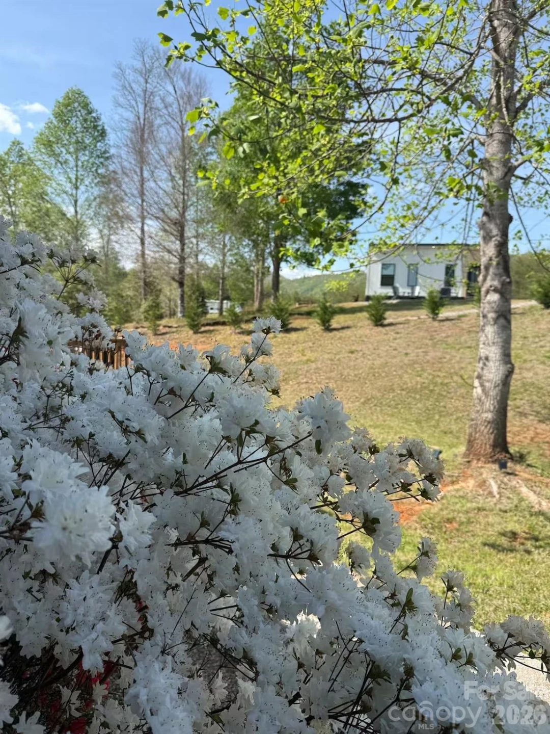 231 Fibber Magee Drive - Photo 37