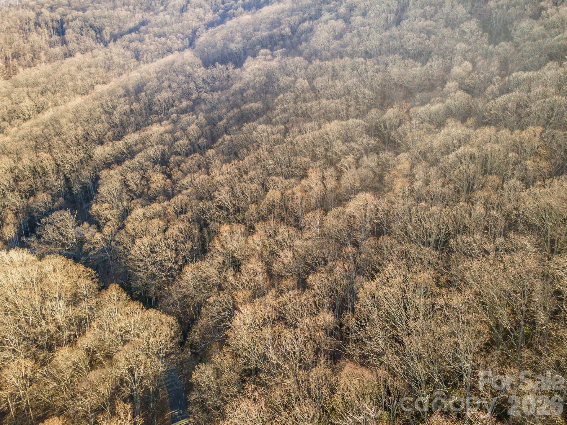 00 Wildflower Cove Road #18 - Photo 2