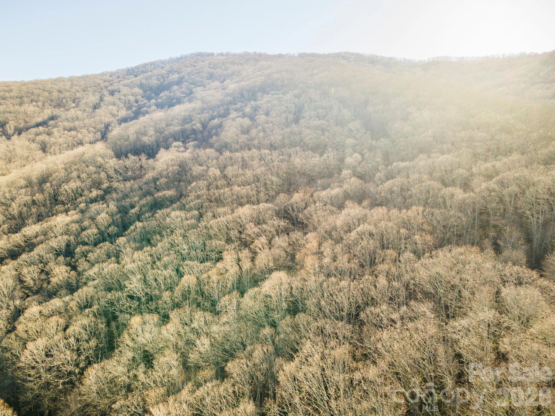00 Wildflower Cove Road #18 - Photo 3