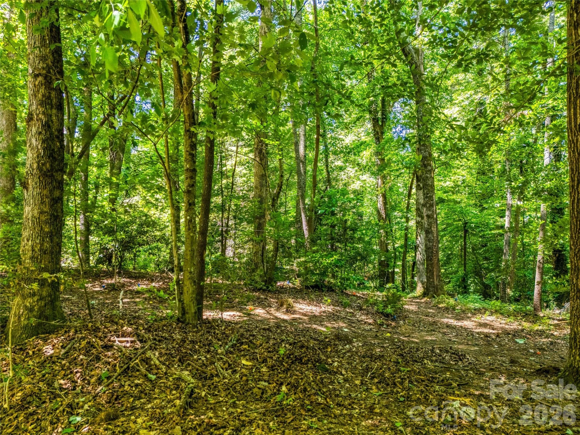 70 Promised Ridge Drive - Photo 41