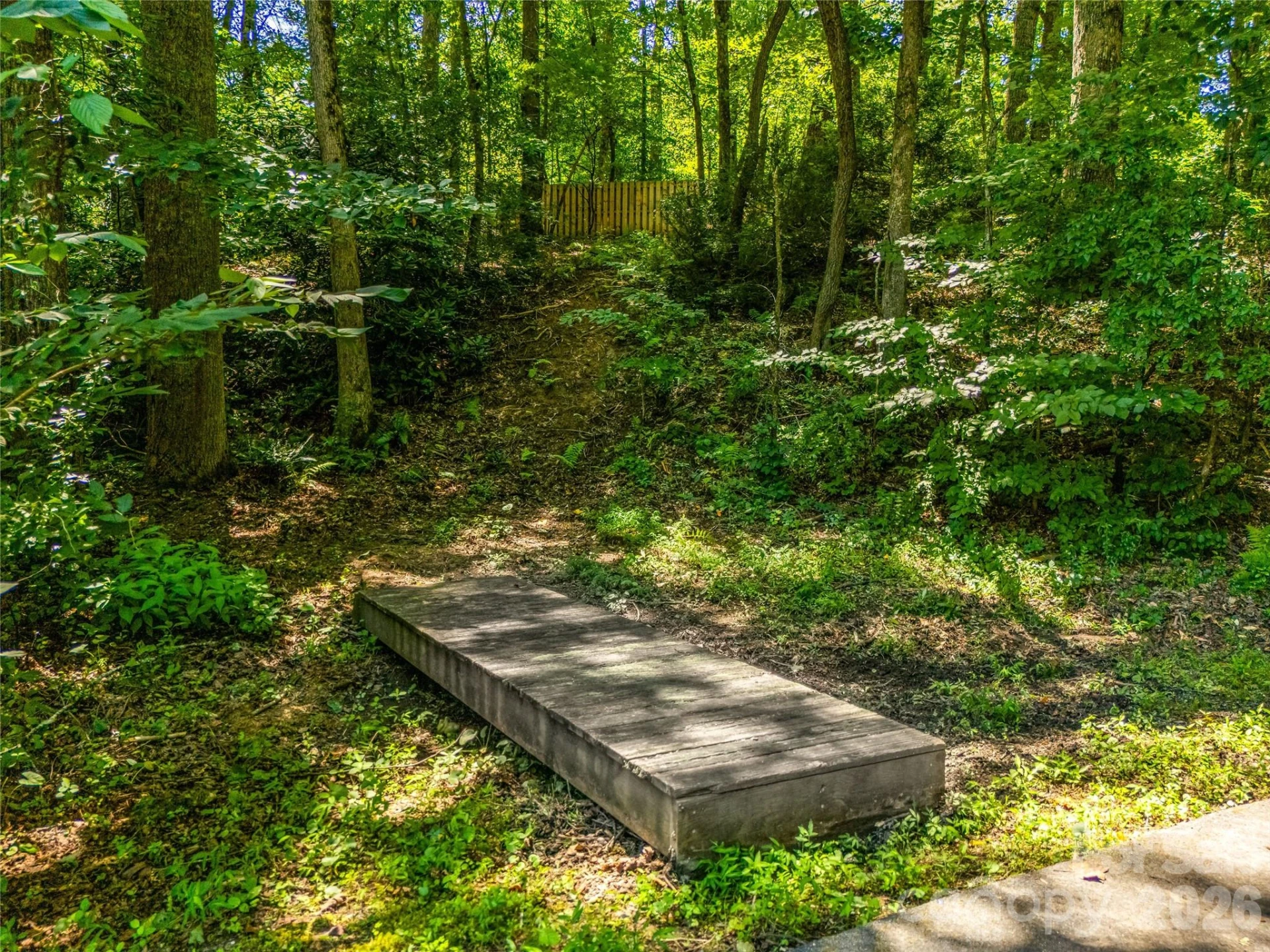 70 Promised Ridge Drive - Photo 42