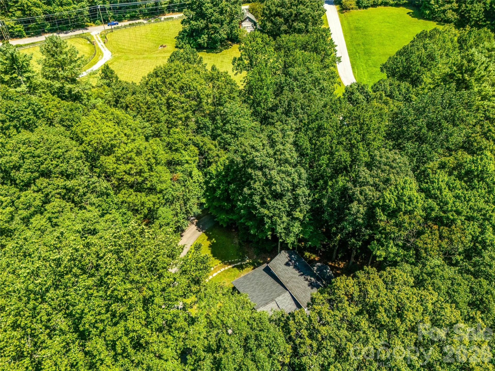 70 Promised Ridge Drive - Photo 43