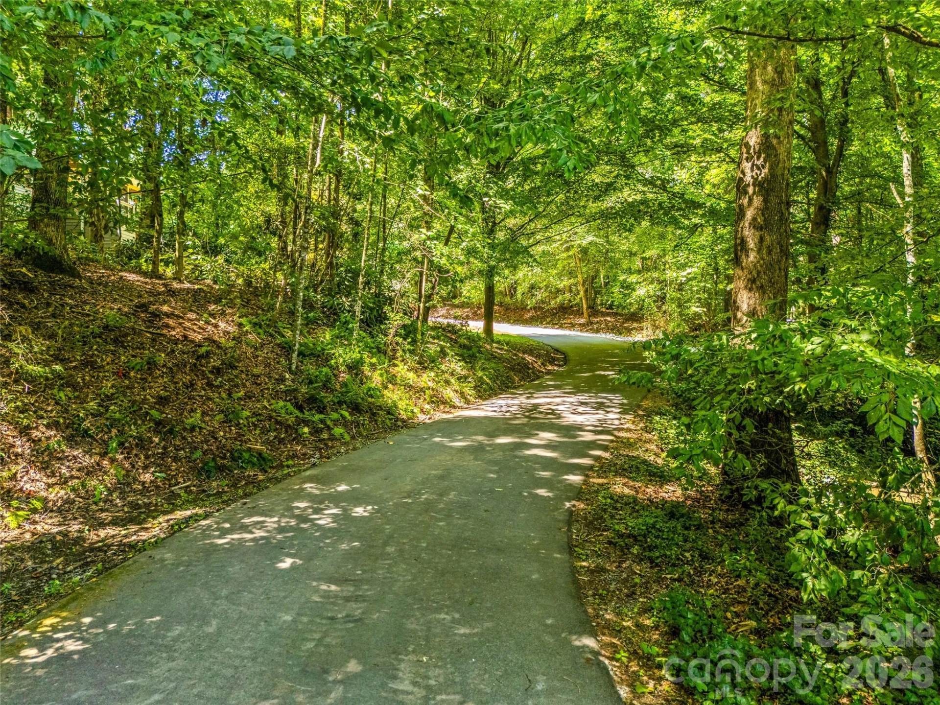 70 Promised Ridge Drive - Photo 44