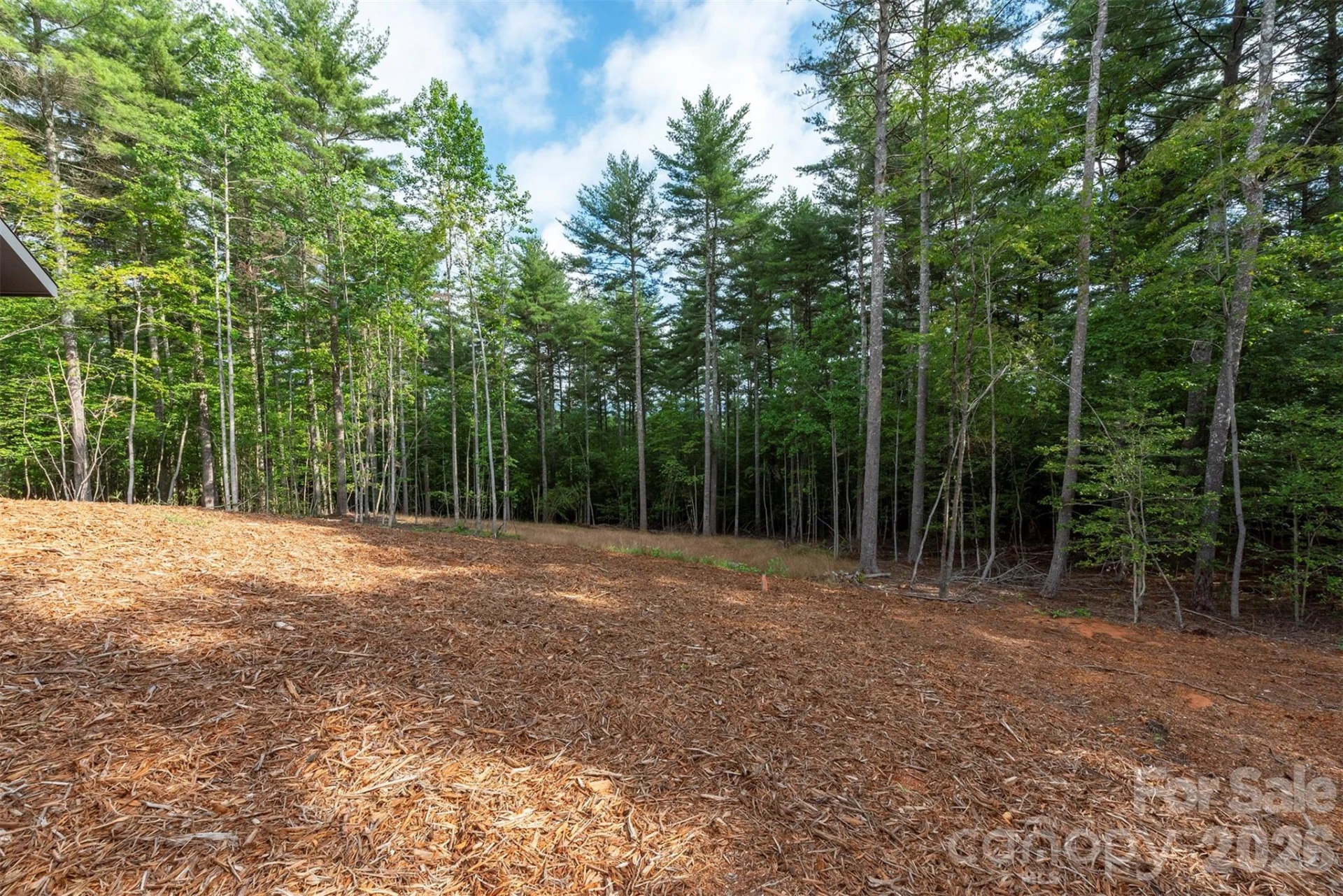 1156 Campbells Trace - Photo 32