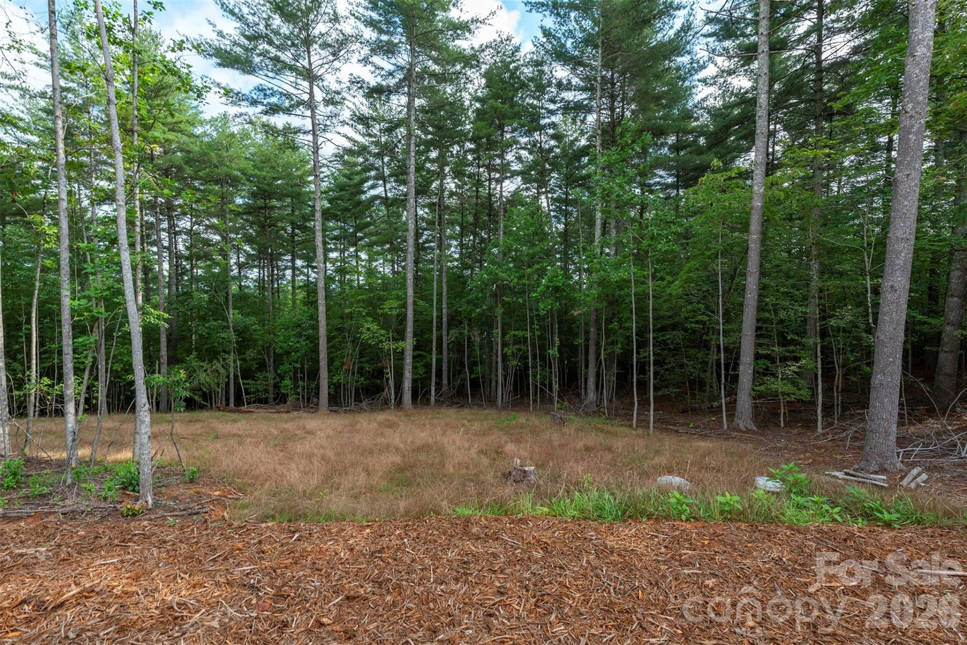1156 Campbells Trace - Photo 33