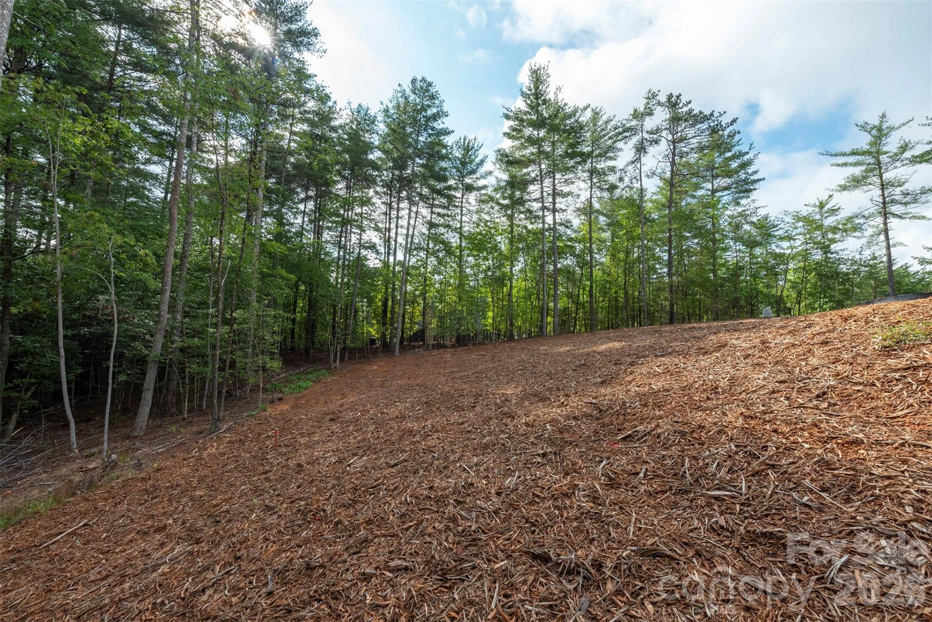 1156 Campbells Trace - Photo 34