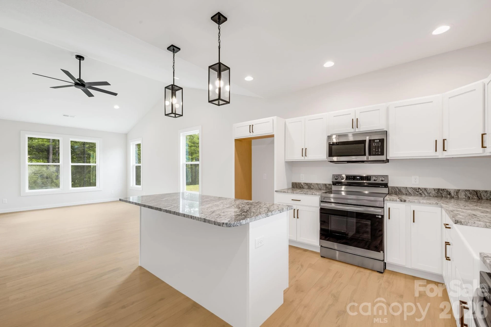 118 Dog Star Lane - Photo 14