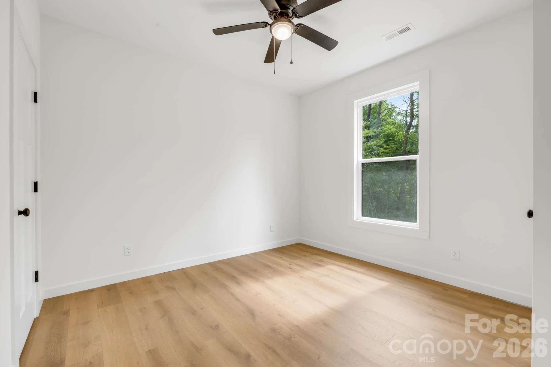 120 Dog Star Lane - Photo 11