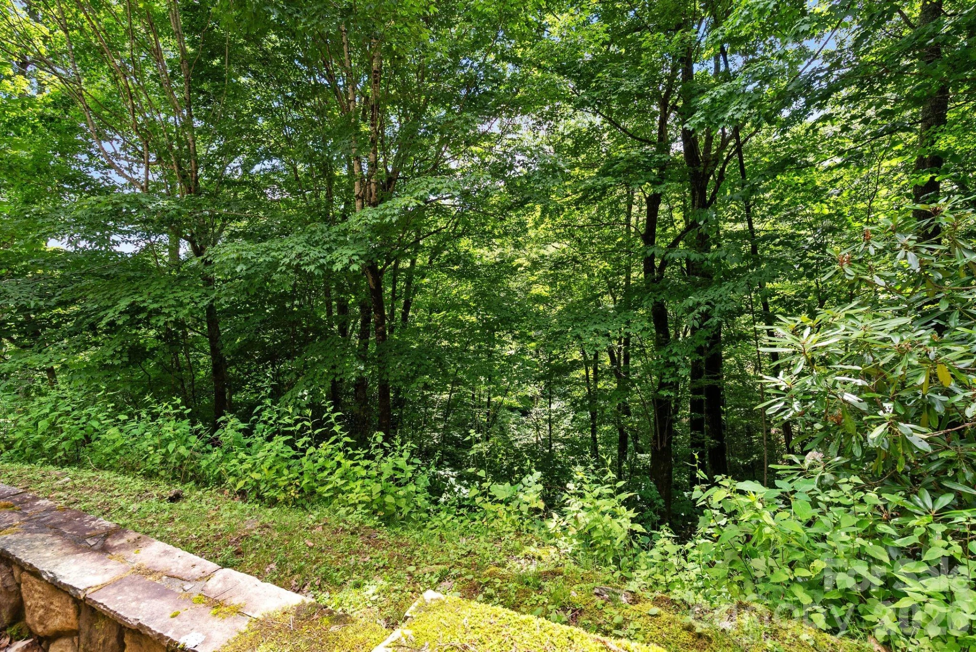 100 Moonshineholler Drive - Photo 44