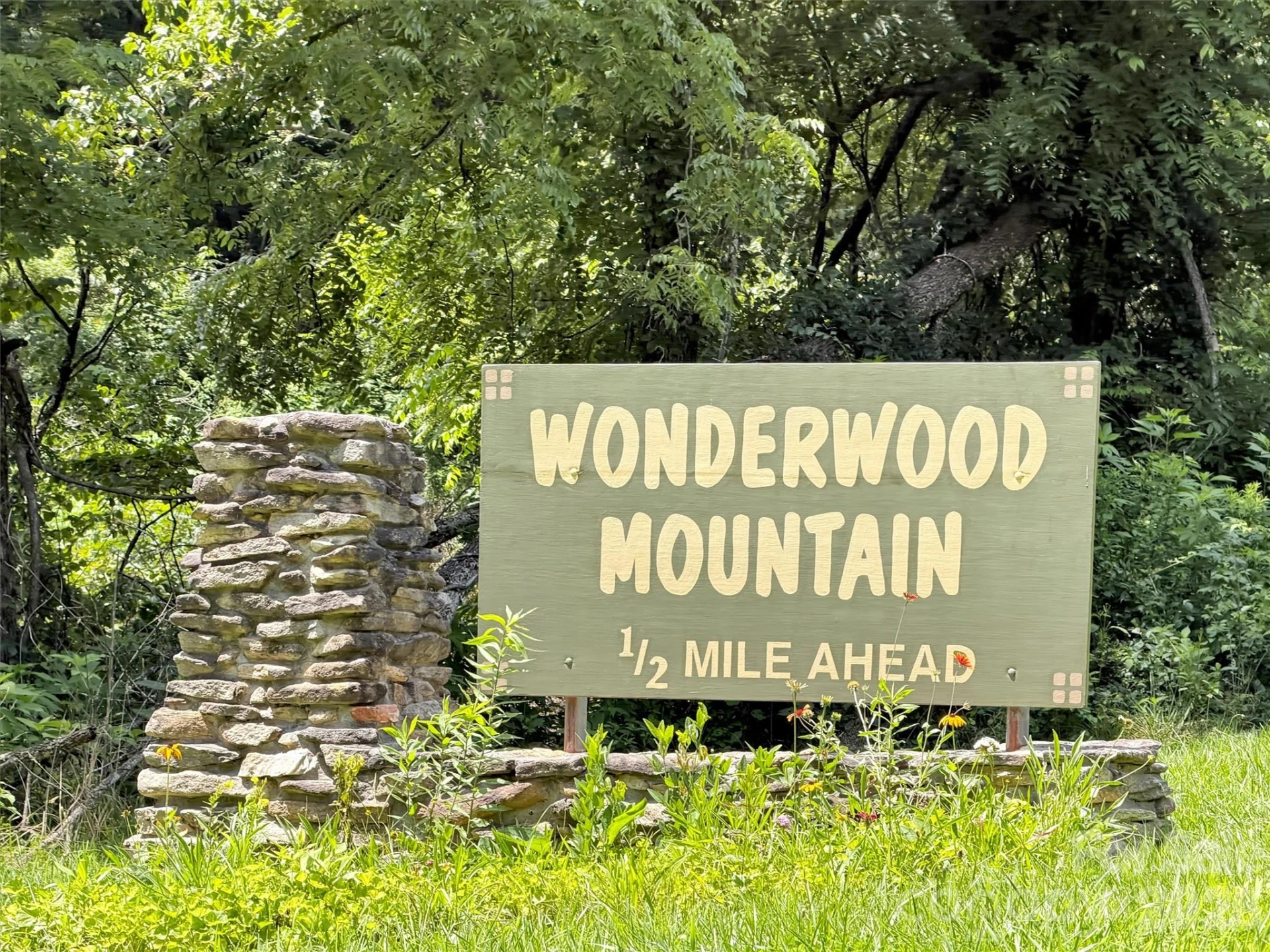 170 Wonderwood Lane - Photo 4