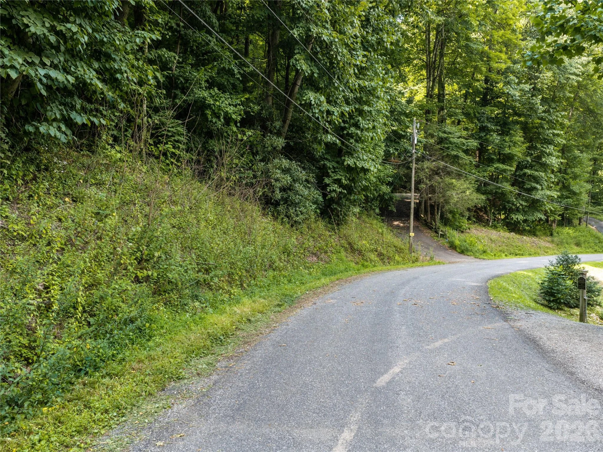 00 Dogwood Drive - Photo 4