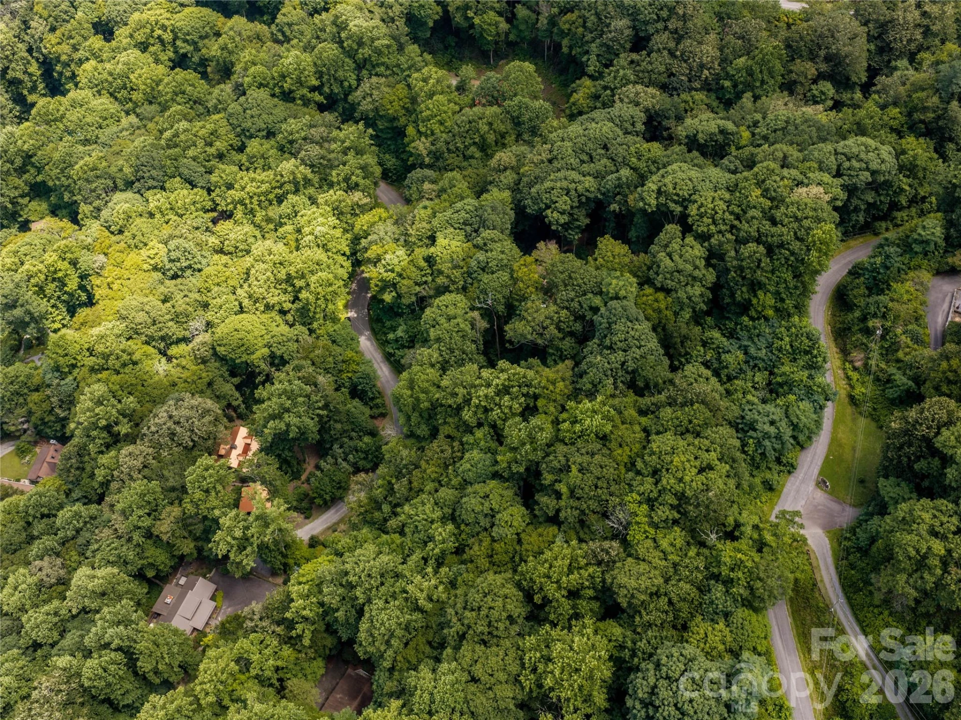 00 Dogwood Drive - Photo 6