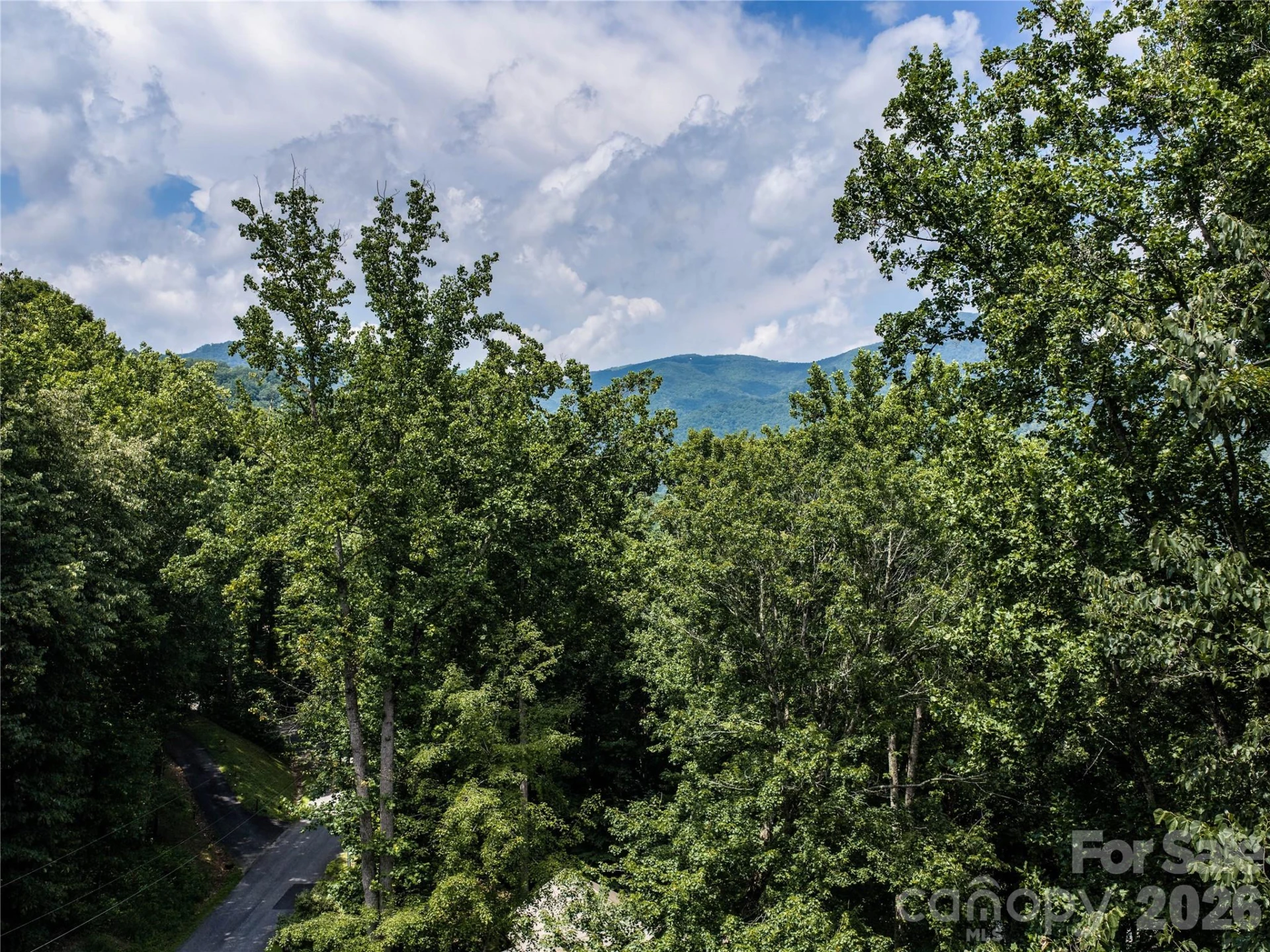 00 Dogwood Drive - Photo 8