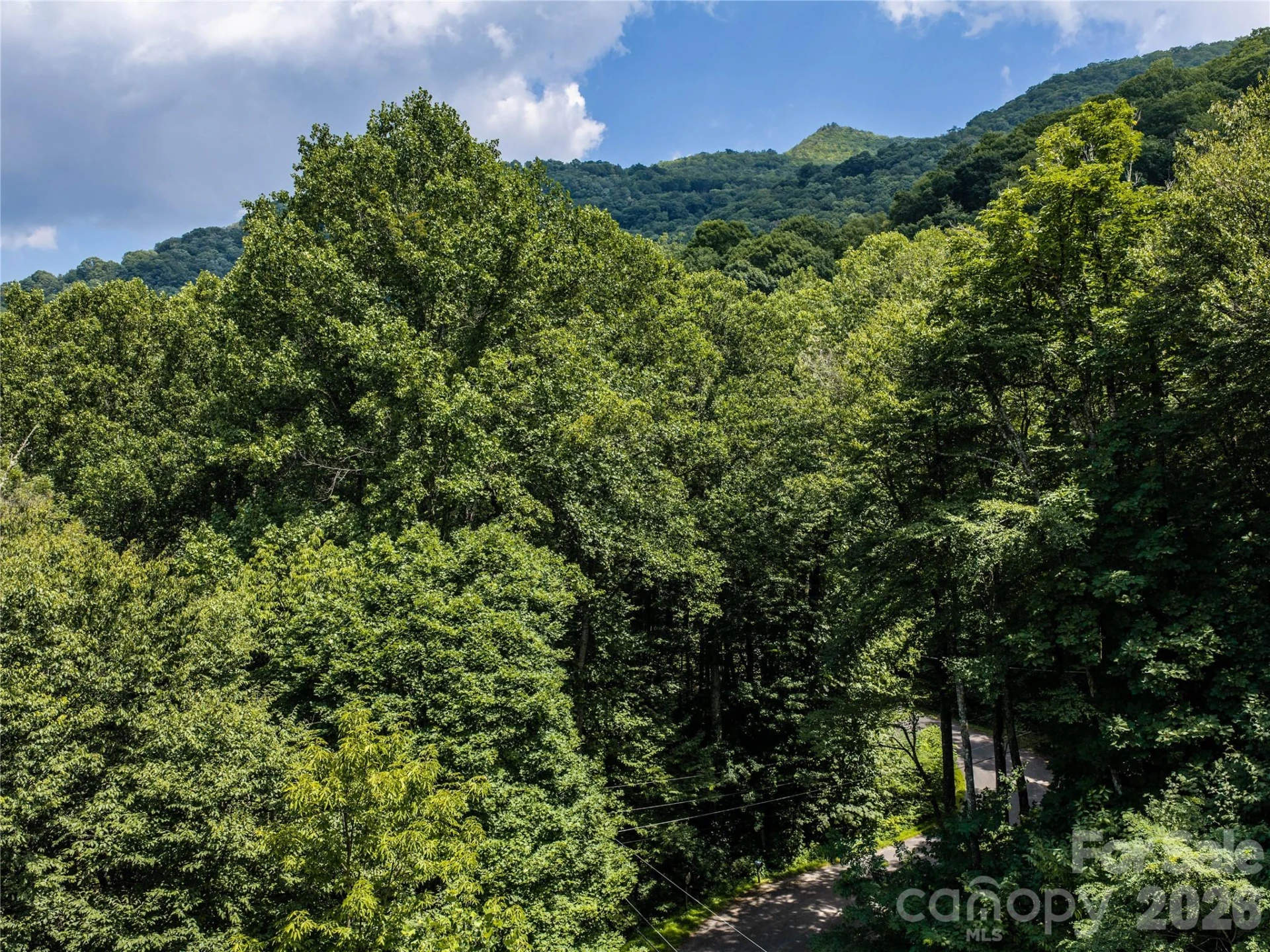 00 Dogwood Drive - Photo 9