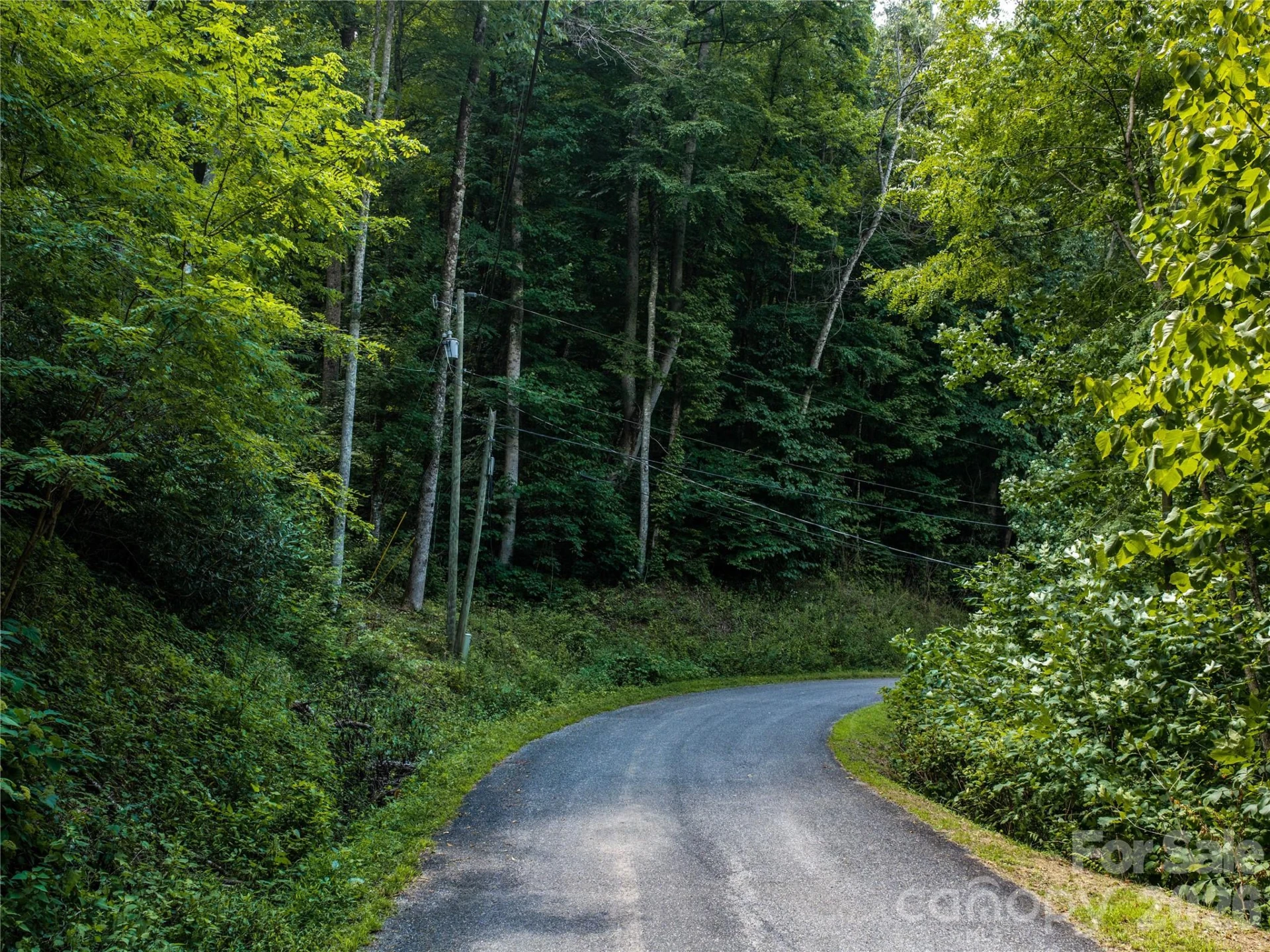 00 Dogwood Drive - Photo 10