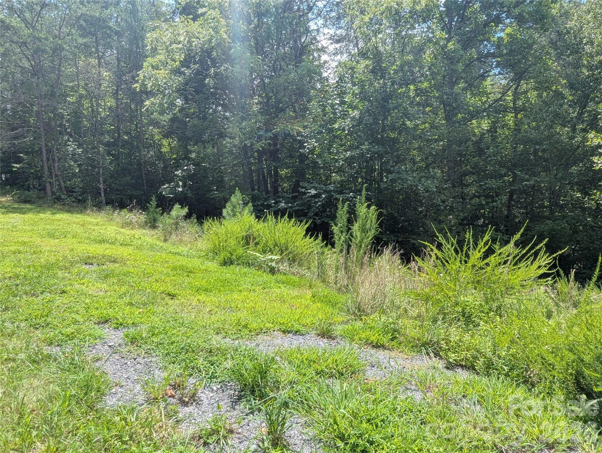 0 Austin Drive #13 - Photo 2