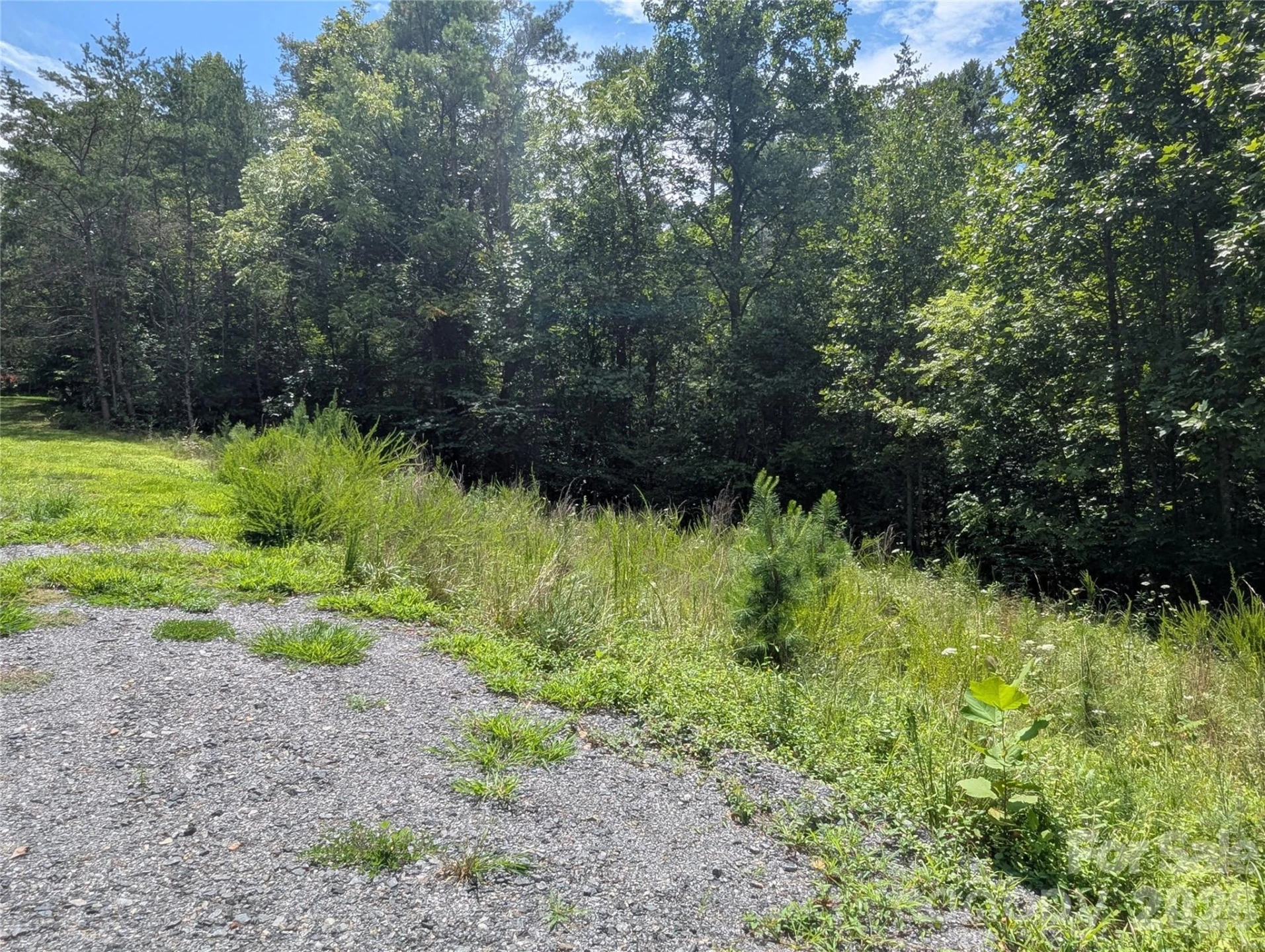 0 Austin Drive #13 - Photo 3