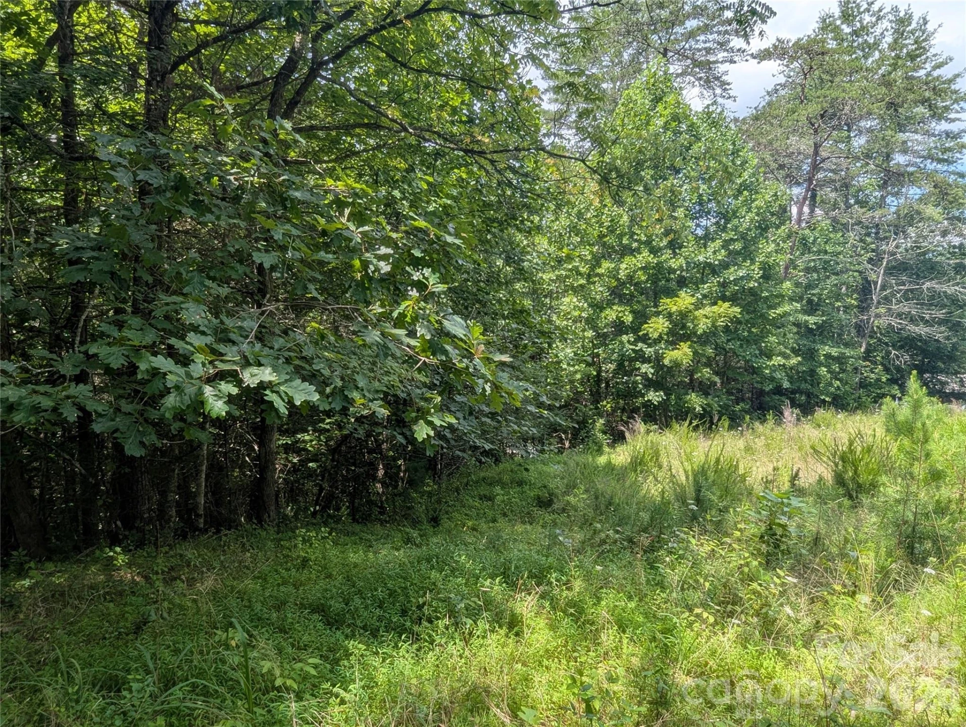 0 Austin Drive #13 - Photo 6