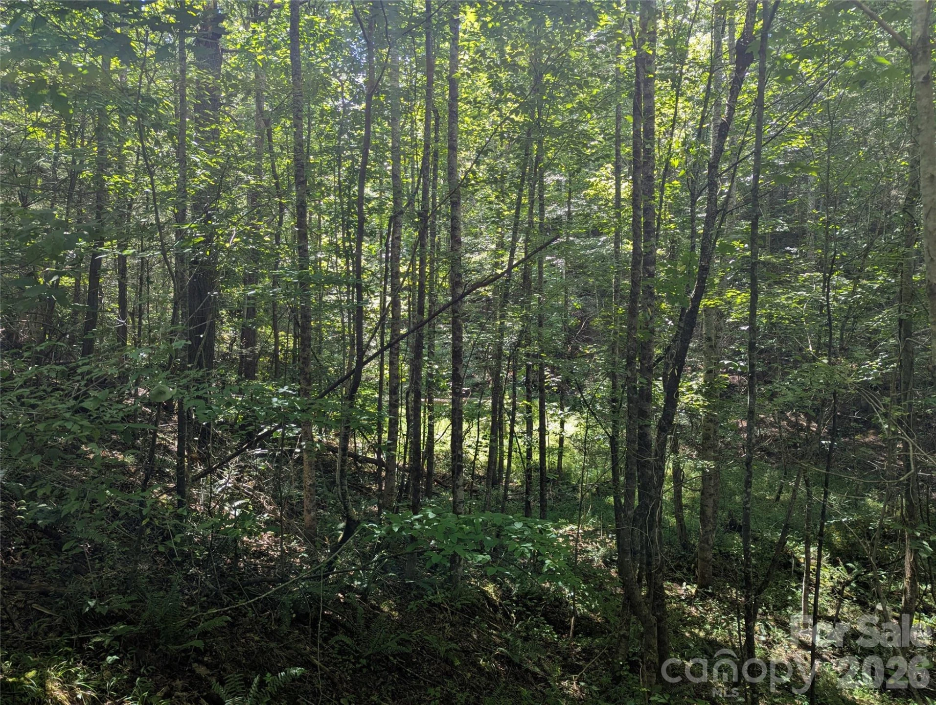 0 Austin Drive #13 - Photo 7