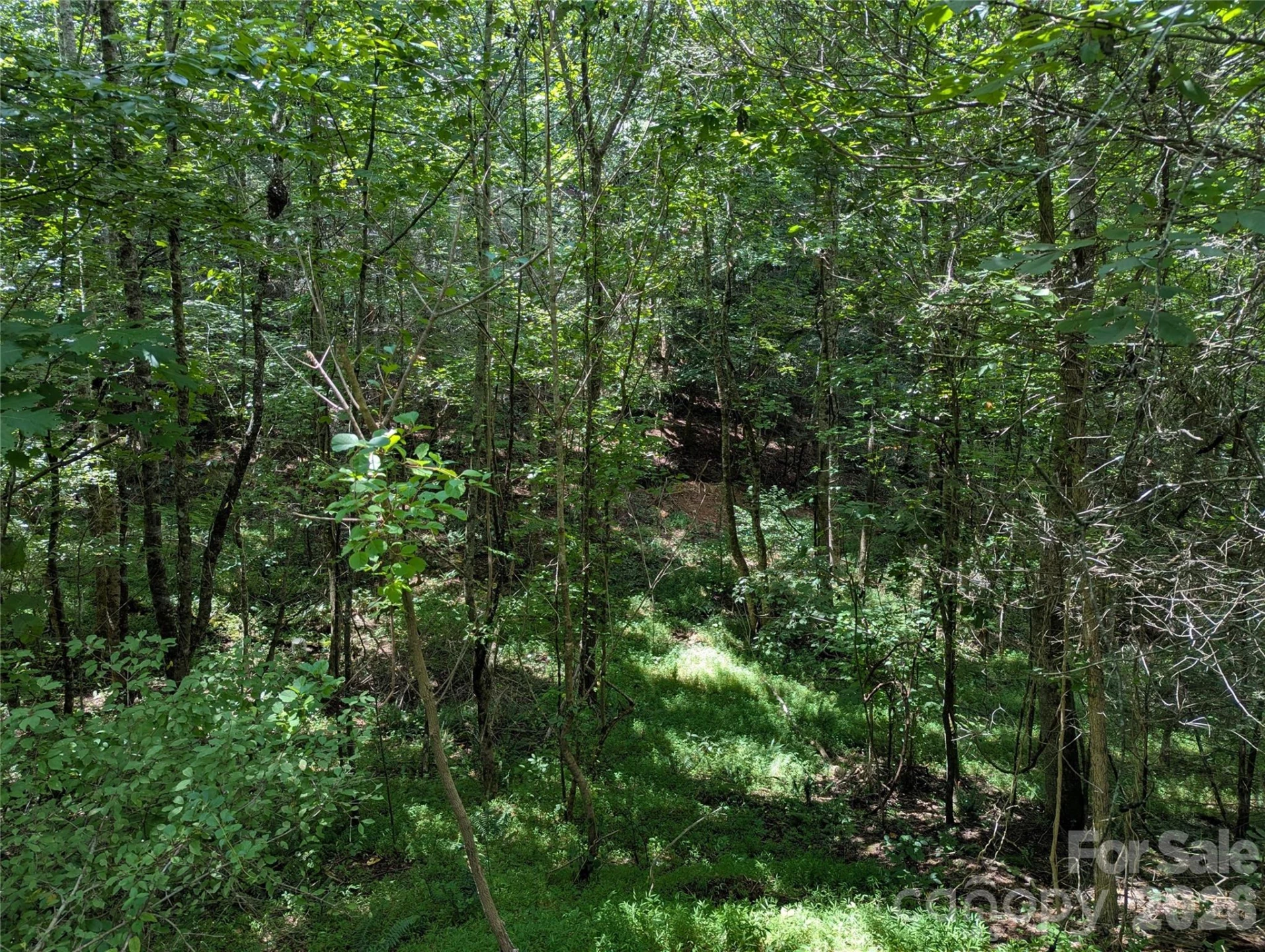 0 Austin Drive #13 - Photo 8