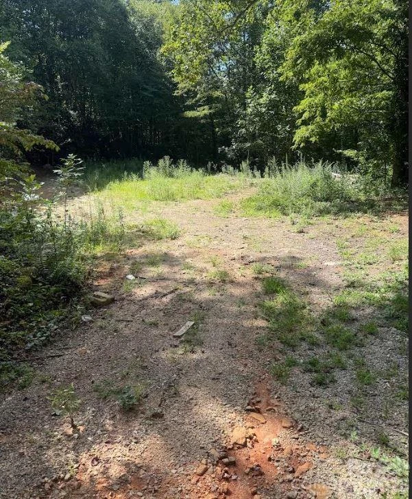 107 Flat Creek Drive - Photo 29