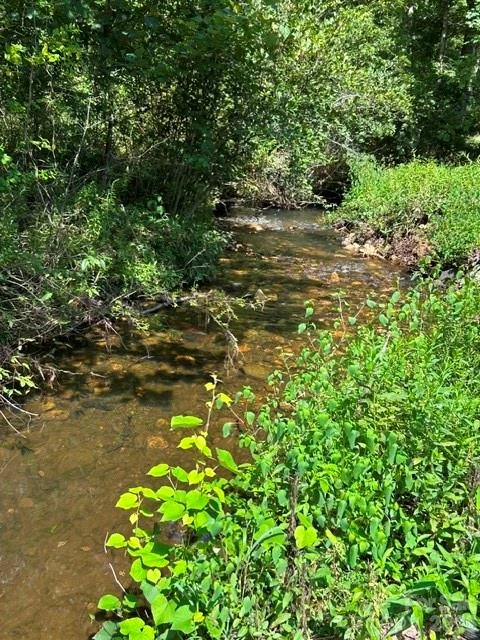 107 Flat Creek Drive - Photo 41