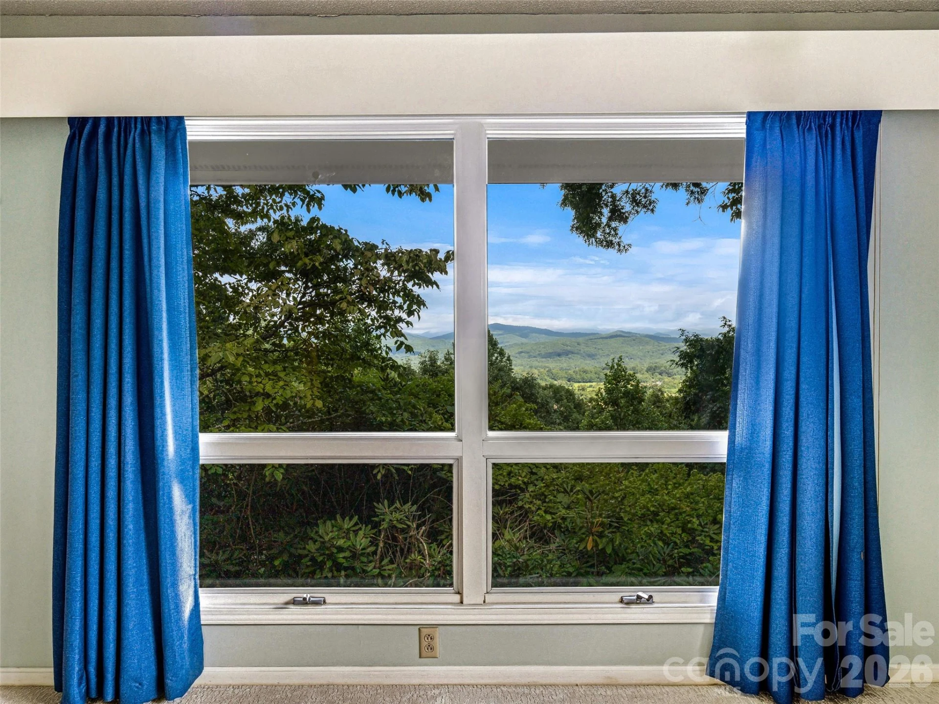 252 Middlemount Road - Photo 24
