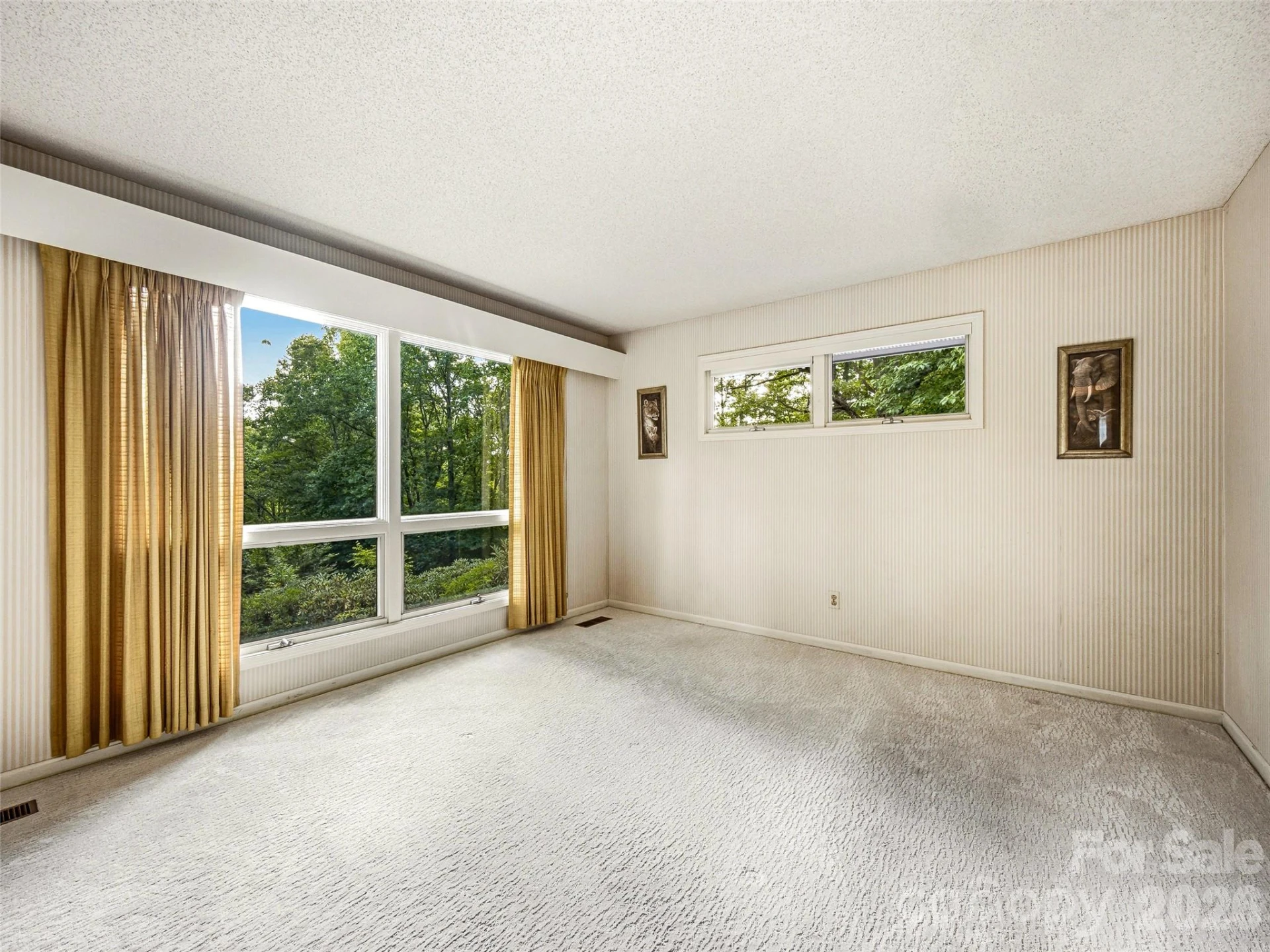 252 Middlemount Road - Photo 28
