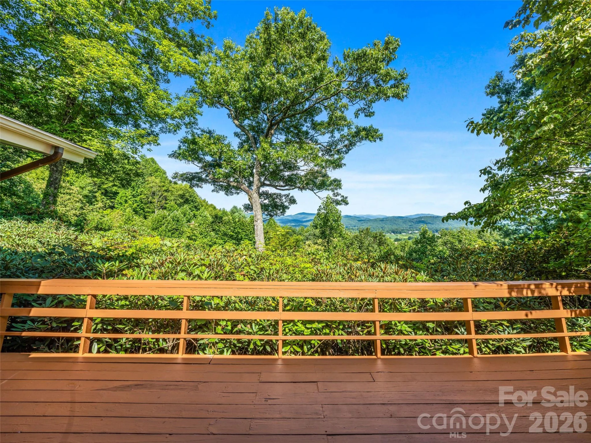 252 Middlemount Road - Photo 35