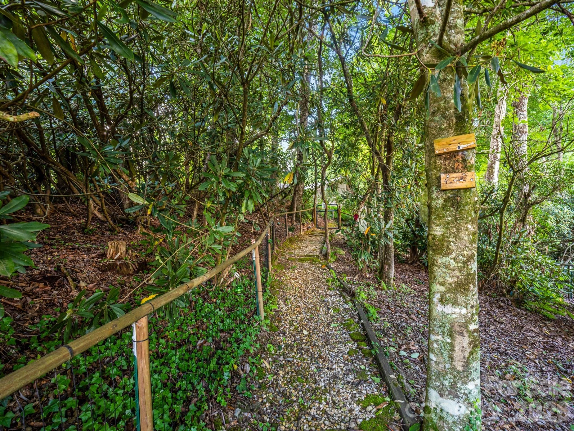 252 Middlemount Road - Photo 40