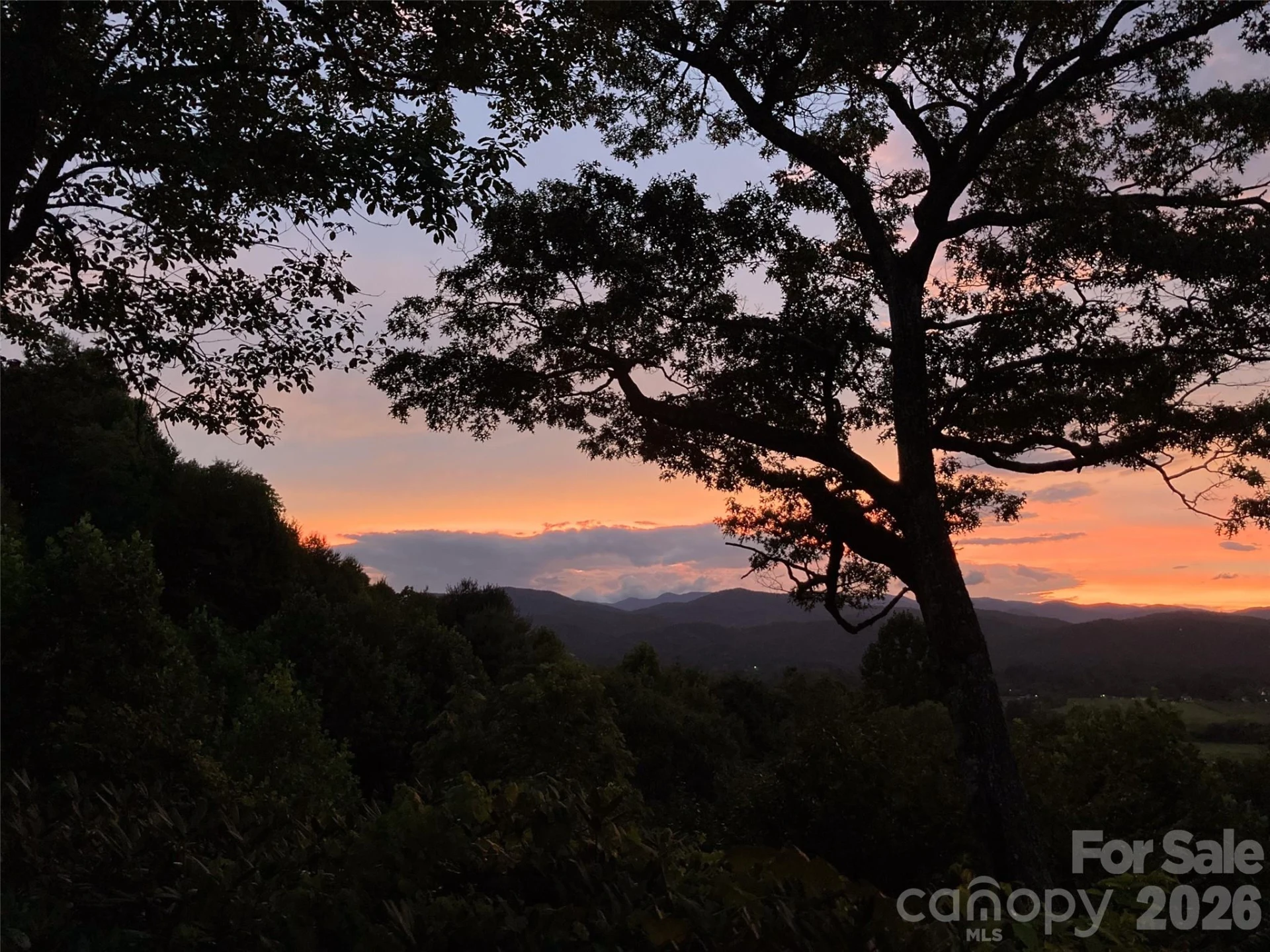 252 Middlemount Road - Photo 48