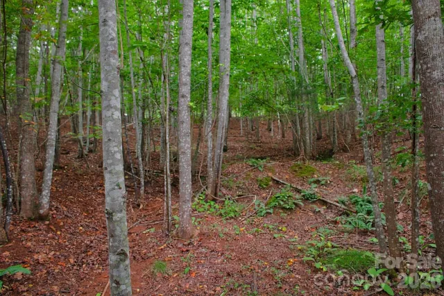 0 Creekside Circle, Rutherfordton, NC, 28139