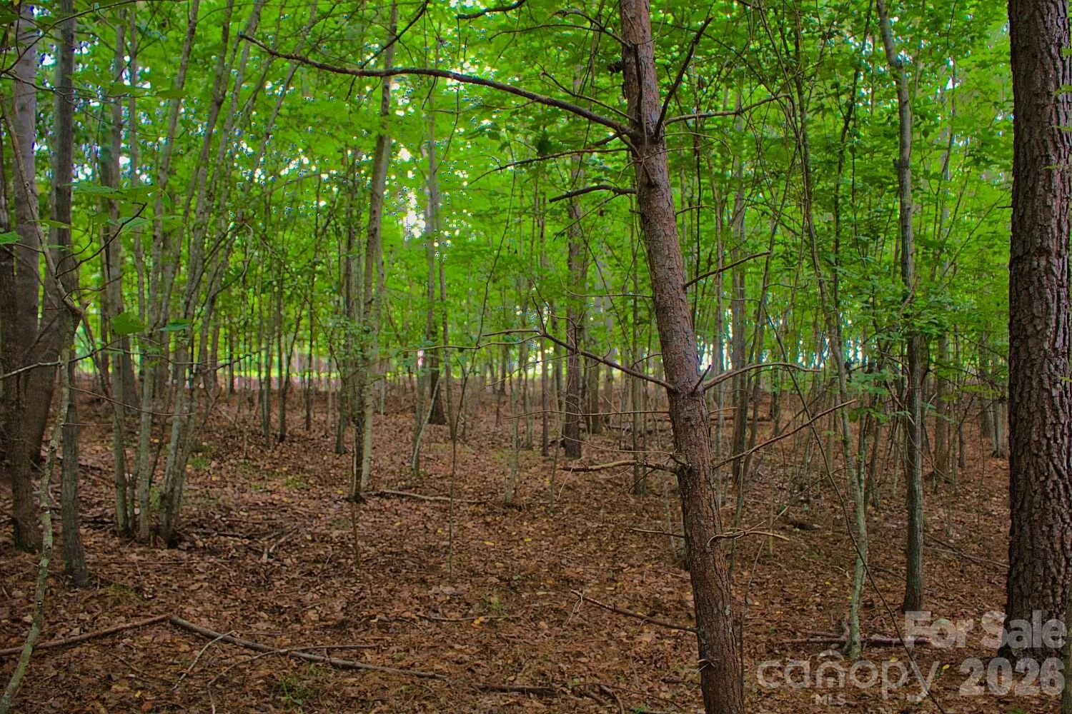 0 Creekside Circle #110 - Photo 2