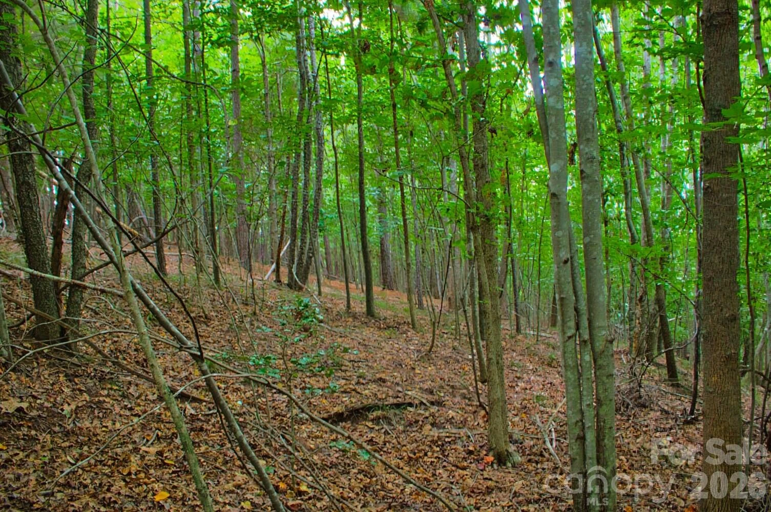 0 Creekside Circle #110 - Photo 3