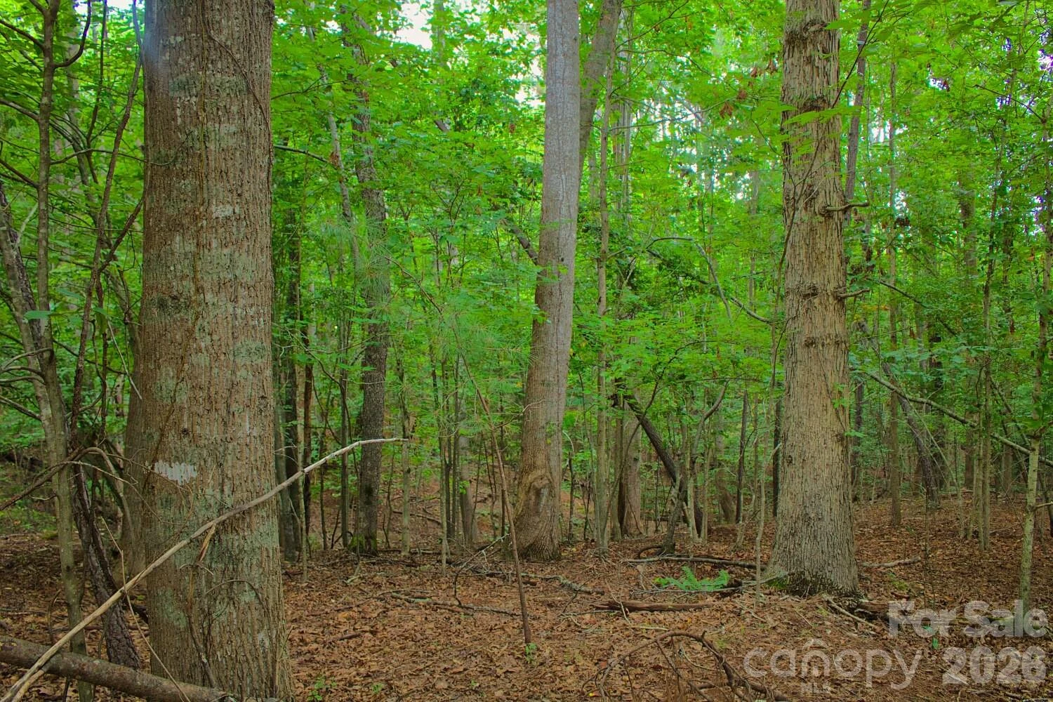 0 Creekside Circle #110 - Photo 4