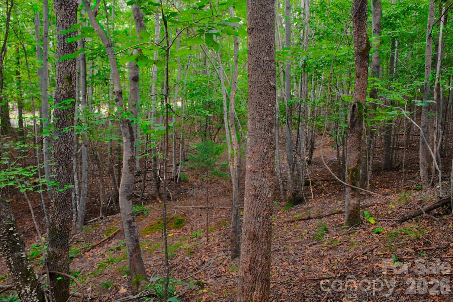 0 Creekside Circle #110 - Photo 5
