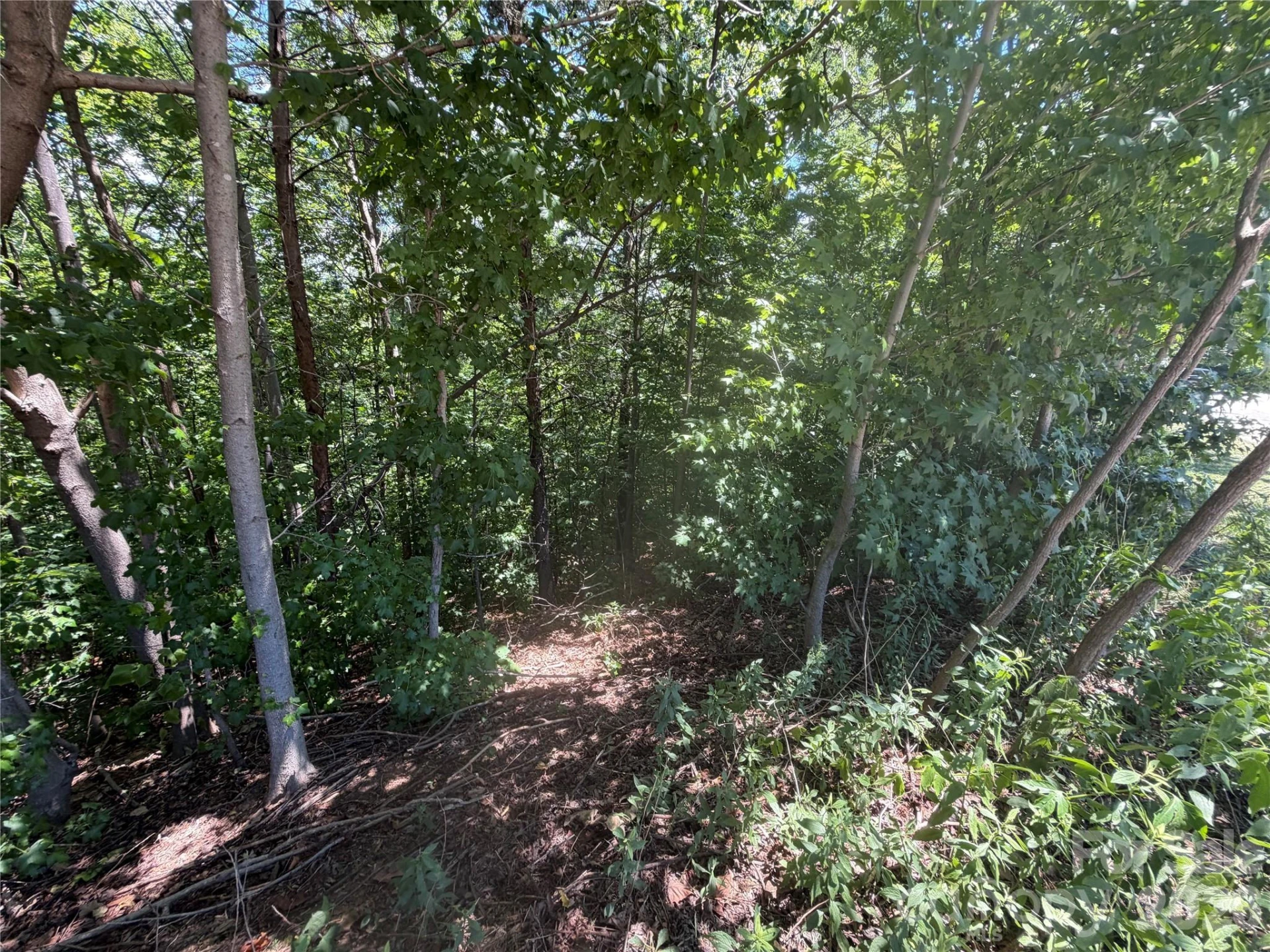 00 Holland Drive #24 - Photo 15