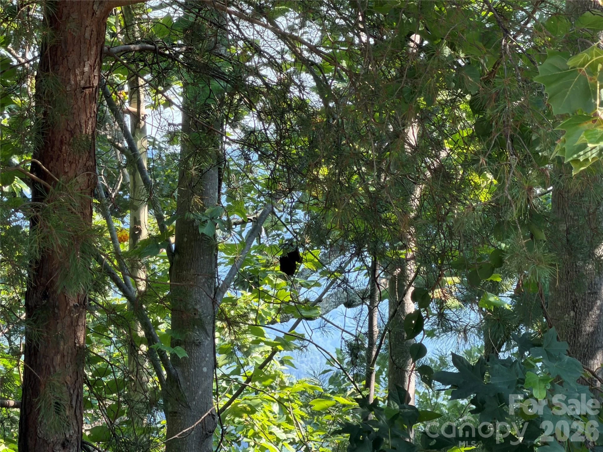 00 Holland Drive #24 - Photo 18