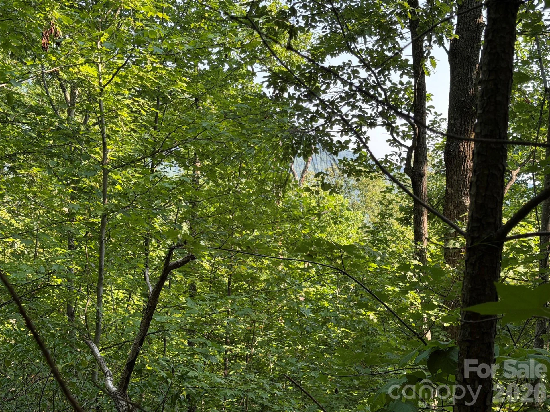 00 Holland Drive #24 - Photo 30